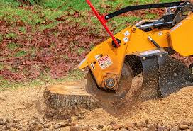 How Our Tree Care Process Works  in  Three Lakes, WA