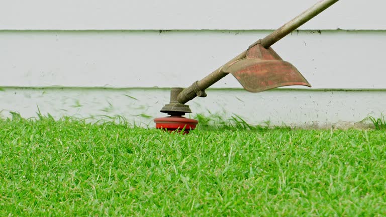 Soil Testing and Treatment in Three Lakes, WA