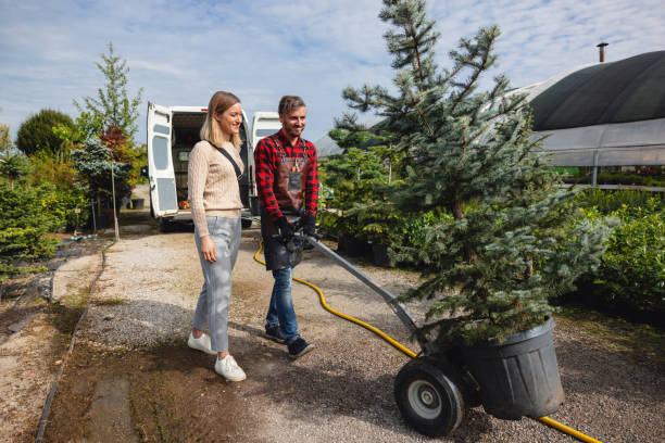 Best Lawn Disease Treatment  in Three Lakes, WA